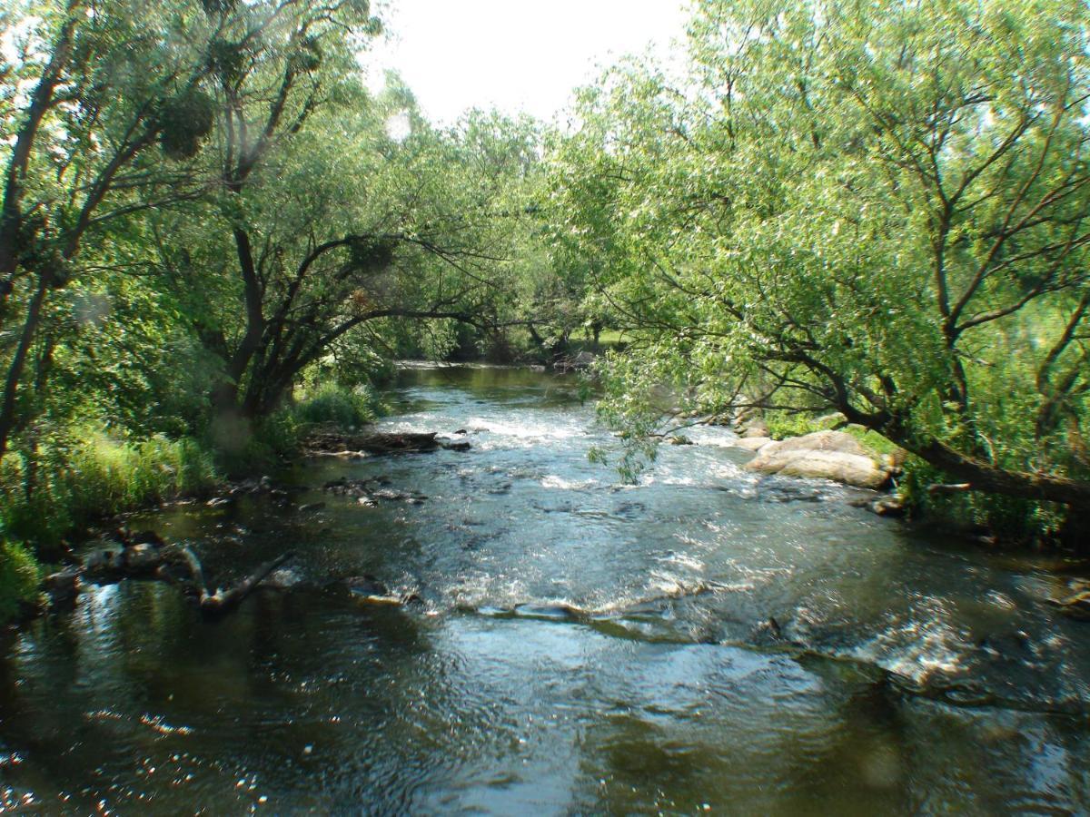 Діво Villa Bohuslav Exteriör bild
