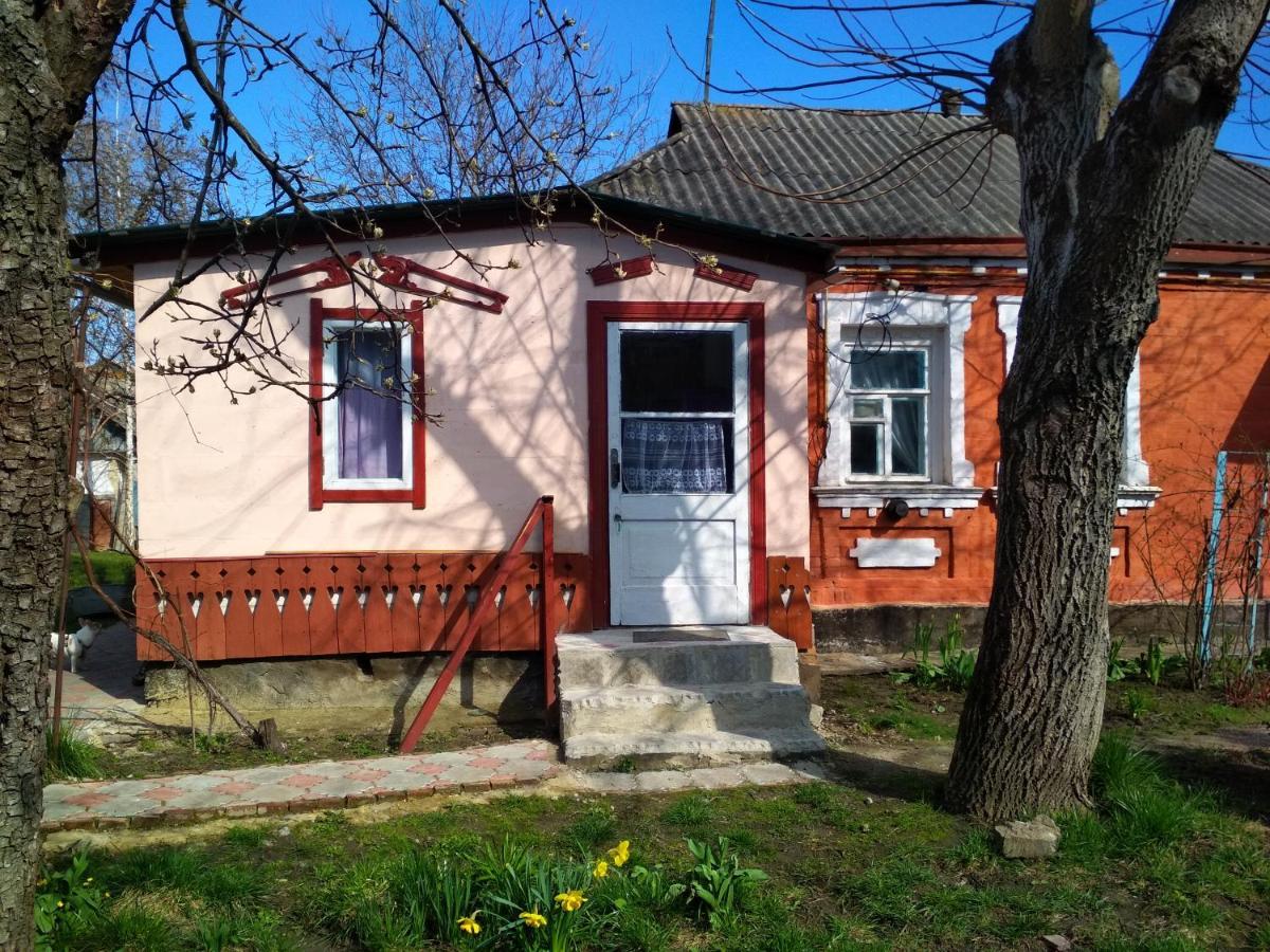 Діво Villa Bohuslav Exteriör bild